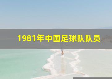 1981年中国足球队队员