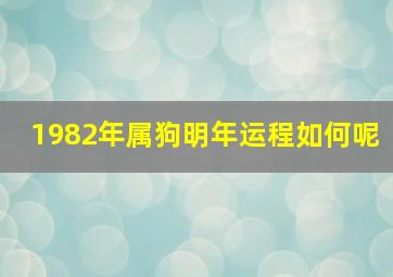 1982年属狗明年运程如何呢