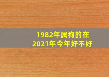 1982年属狗的在2021年今年好不好