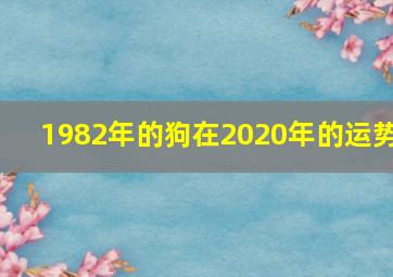 1982年的狗在2020年的运势