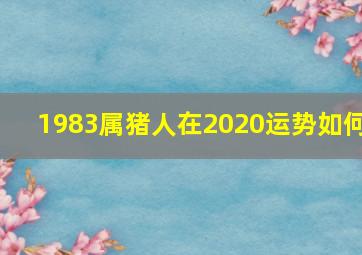 1983属猪人在2020运势如何