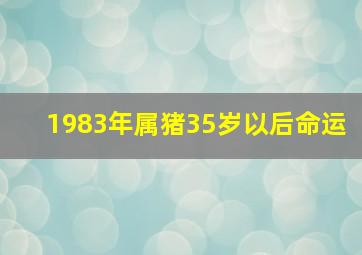 1983年属猪35岁以后命运