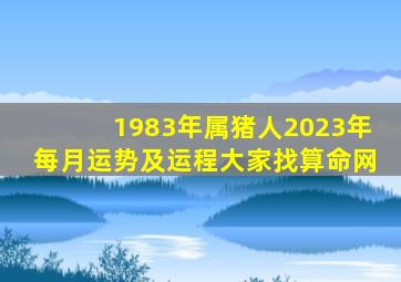 1983年属猪人2023年每月运势及运程大家找算命网