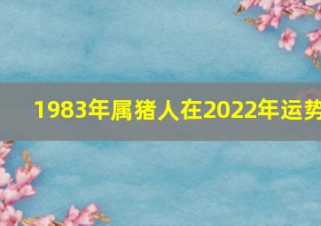 1983年属猪人在2022年运势