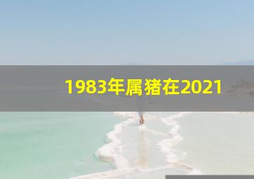 1983年属猪在2021