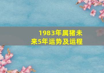 1983年属猪未来5年运势及运程