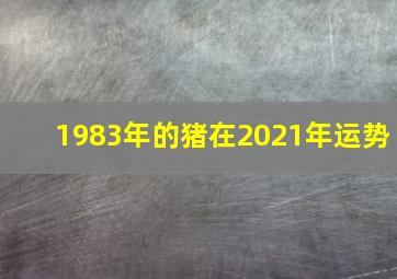 1983年的猪在2021年运势