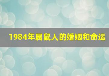 1984年属鼠人的婚姻和命运