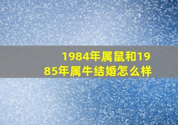 1984年属鼠和1985年属牛结婚怎么样