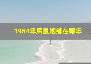 1984年属鼠姻缘在哪年