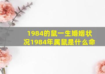 1984的鼠一生婚姻状况1984年属鼠是什么命