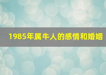 1985年属牛人的感情和婚姻