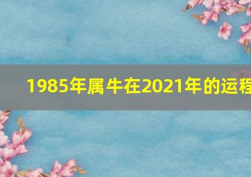 1985年属牛在2021年的运程