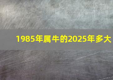 1985年属牛的2025年多大