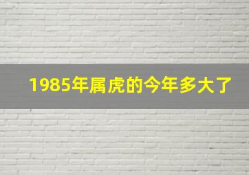 1985年属虎的今年多大了