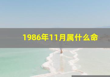 1986年11月属什么命