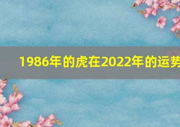 1986年的虎在2022年的运势