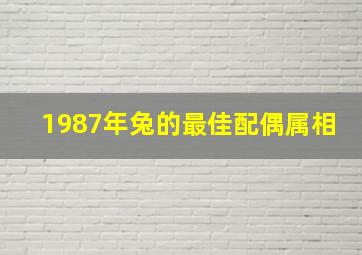 1987年兔的最佳配偶属相