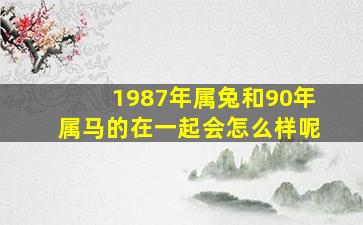 1987年属兔和90年属马的在一起会怎么样呢