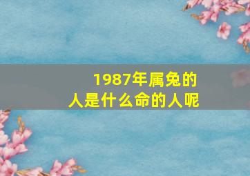 1987年属兔的人是什么命的人呢