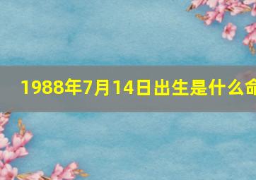 1988年7月14日出生是什么命