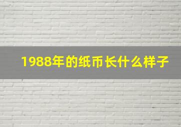 1988年的纸币长什么样子