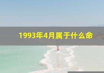 1993年4月属于什么命