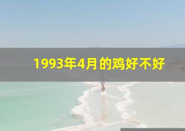 1993年4月的鸡好不好