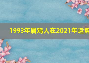 1993年属鸡人在2021年运势