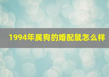 1994年属狗的婚配鼠怎么样