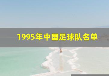 1995年中国足球队名单