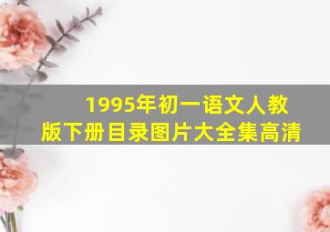 1995年初一语文人教版下册目录图片大全集高清