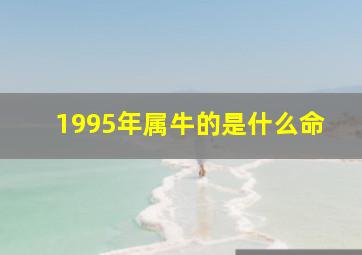 1995年属牛的是什么命