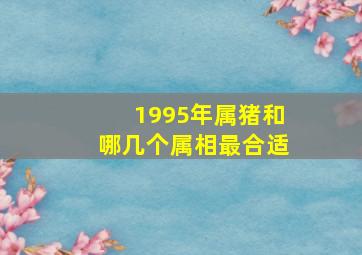 1995年属猪和哪几个属相最合适