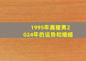 1995年属猪男2024年的运势和婚姻