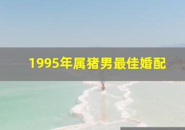 1995年属猪男最佳婚配