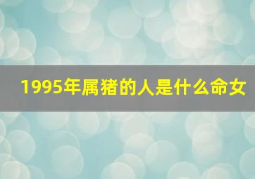 1995年属猪的人是什么命女