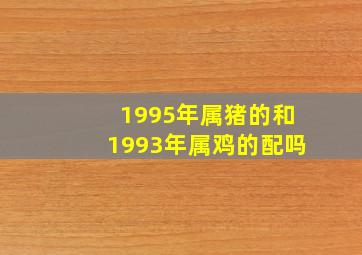 1995年属猪的和1993年属鸡的配吗