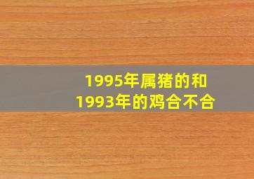 1995年属猪的和1993年的鸡合不合