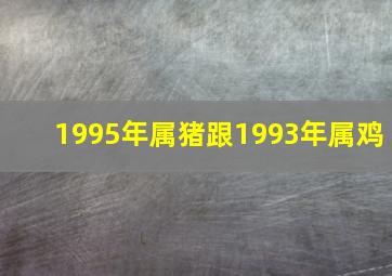 1995年属猪跟1993年属鸡