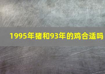 1995年猪和93年的鸡合适吗