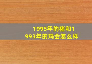 1995年的猪和1993年的鸡会怎么样