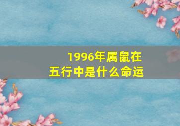 1996年属鼠在五行中是什么命运