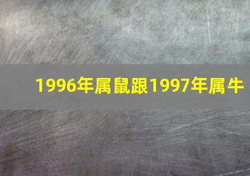 1996年属鼠跟1997年属牛