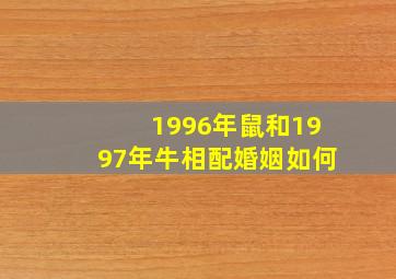 1996年鼠和1997年牛相配婚姻如何