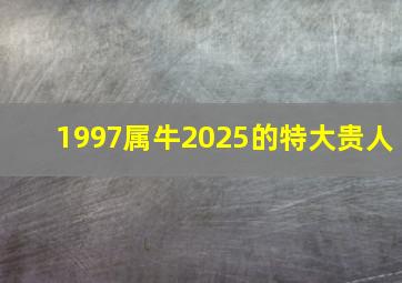 1997属牛2025的特大贵人