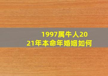 1997属牛人2021年本命年婚姻如何