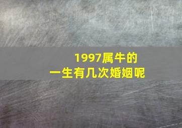 1997属牛的一生有几次婚姻呢