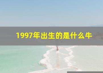 1997年出生的是什么牛