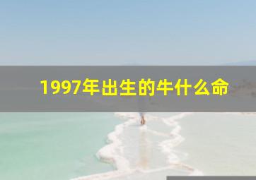 1997年出生的牛什么命